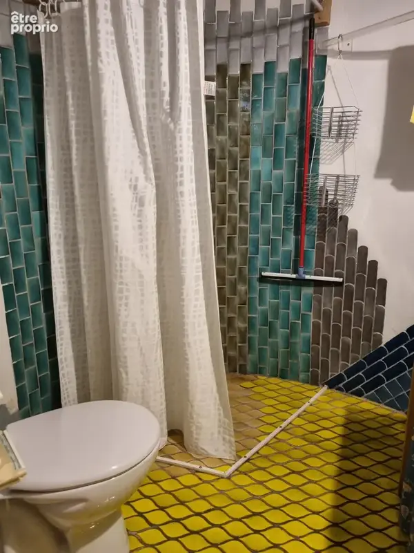 Maison avec Gîtes - photo 33