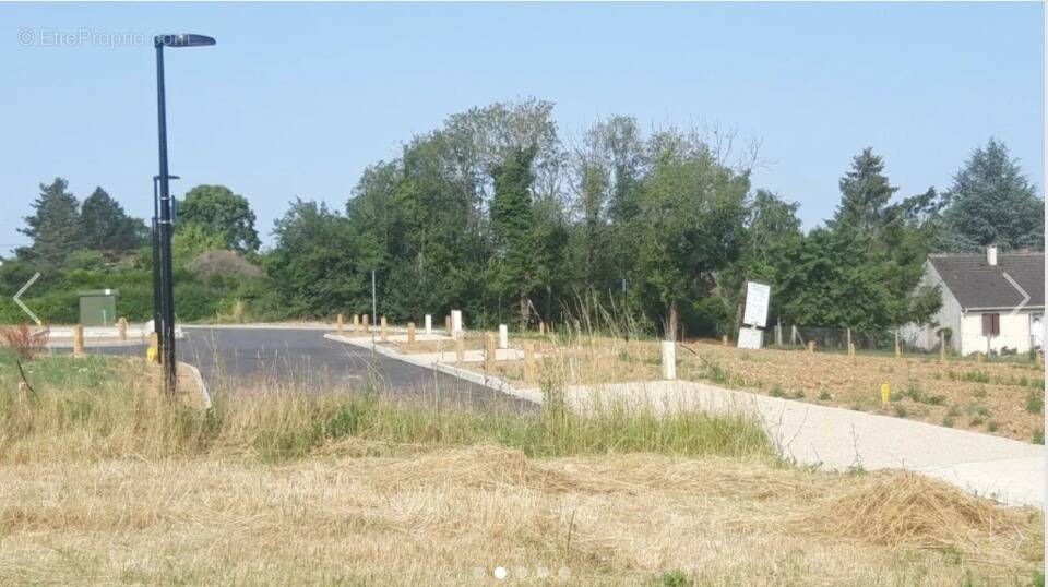 Terrain à SAINT-VRAIN