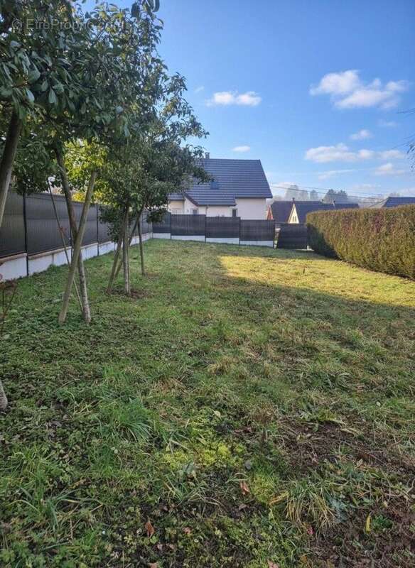 Terrain 351 m² à Heidwiller  - photo 2