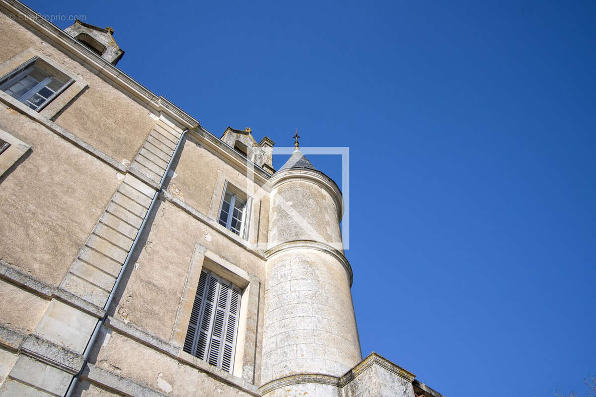 850 m² à Chantonnay  - photo 2