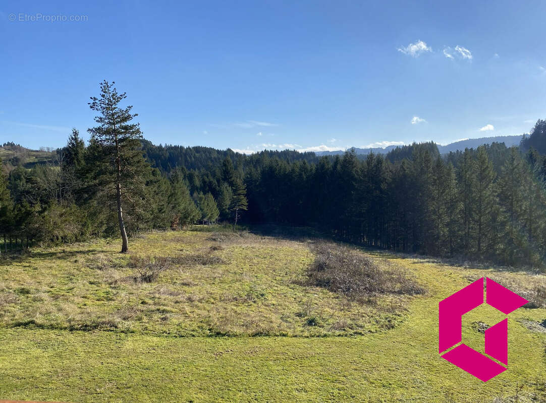 Maison à SAINT-DIDIER-EN-VELAY