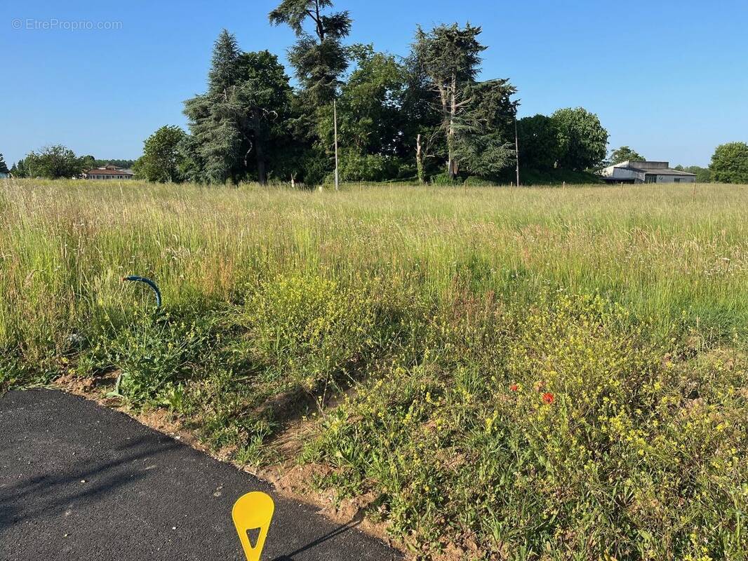 Terrain à NOGENT-LE-ROI