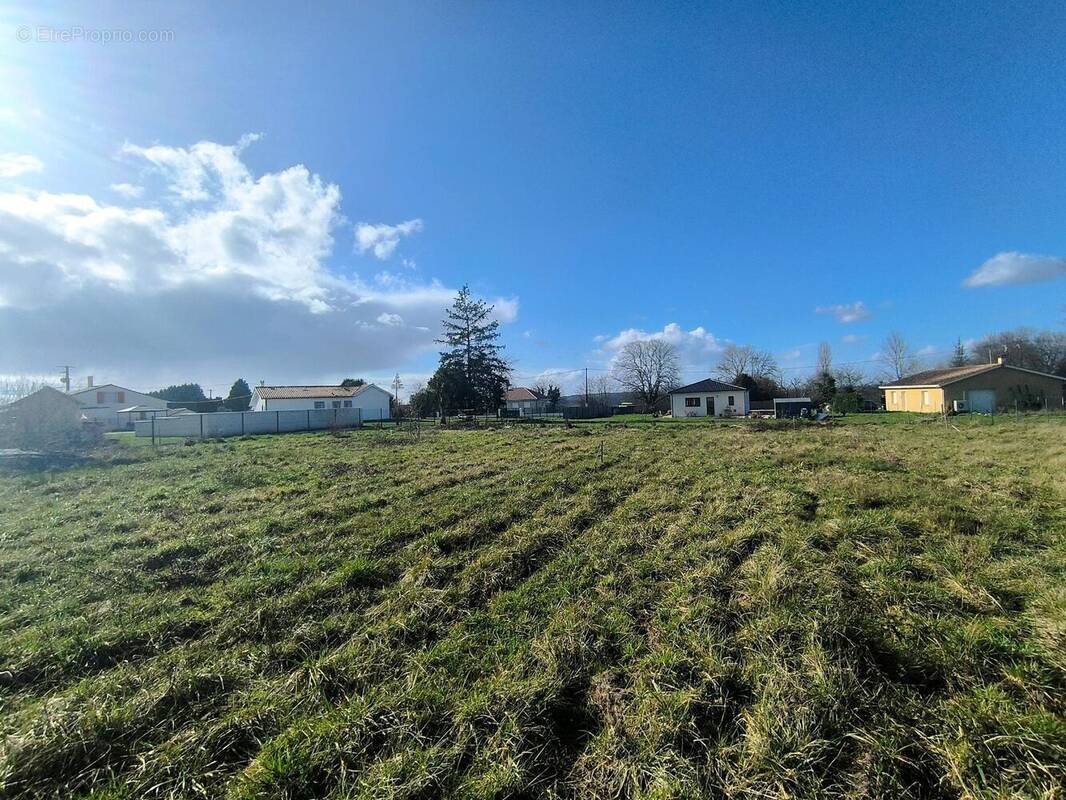 Photo 1 - Terrain à VELINES