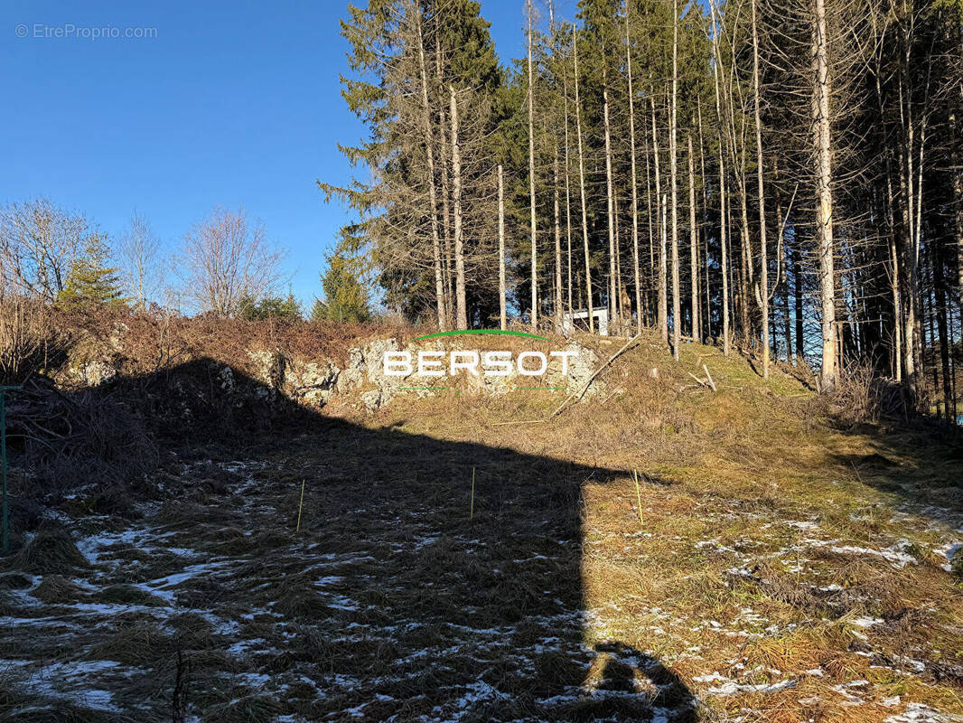 Terrain à LE RUSSEY