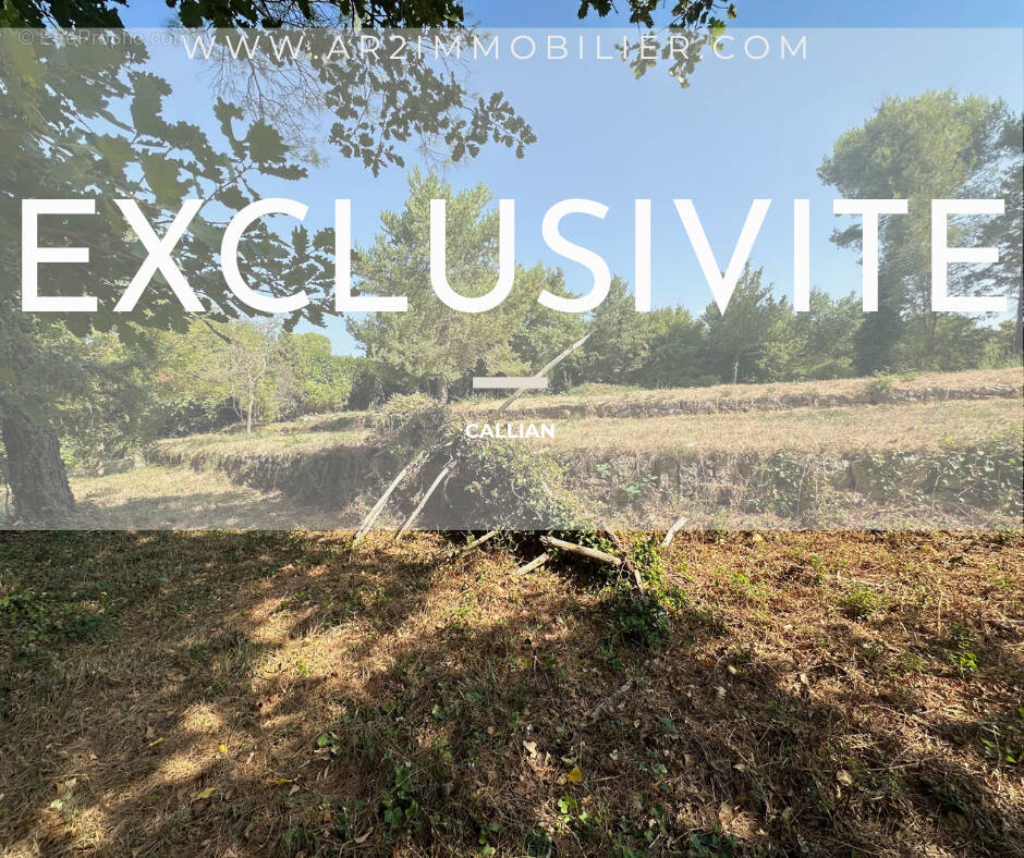 Terrain à CALLIAN