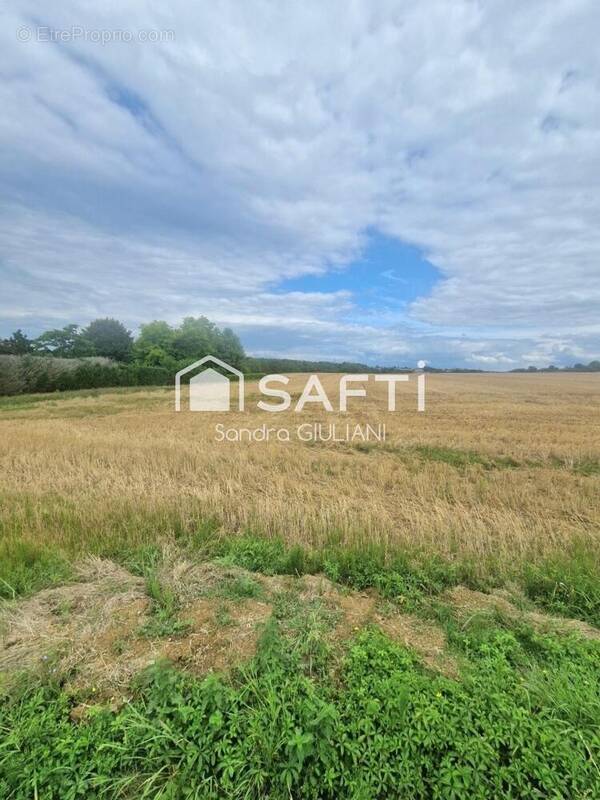 Photo 1 - Terrain à PIERREPONT