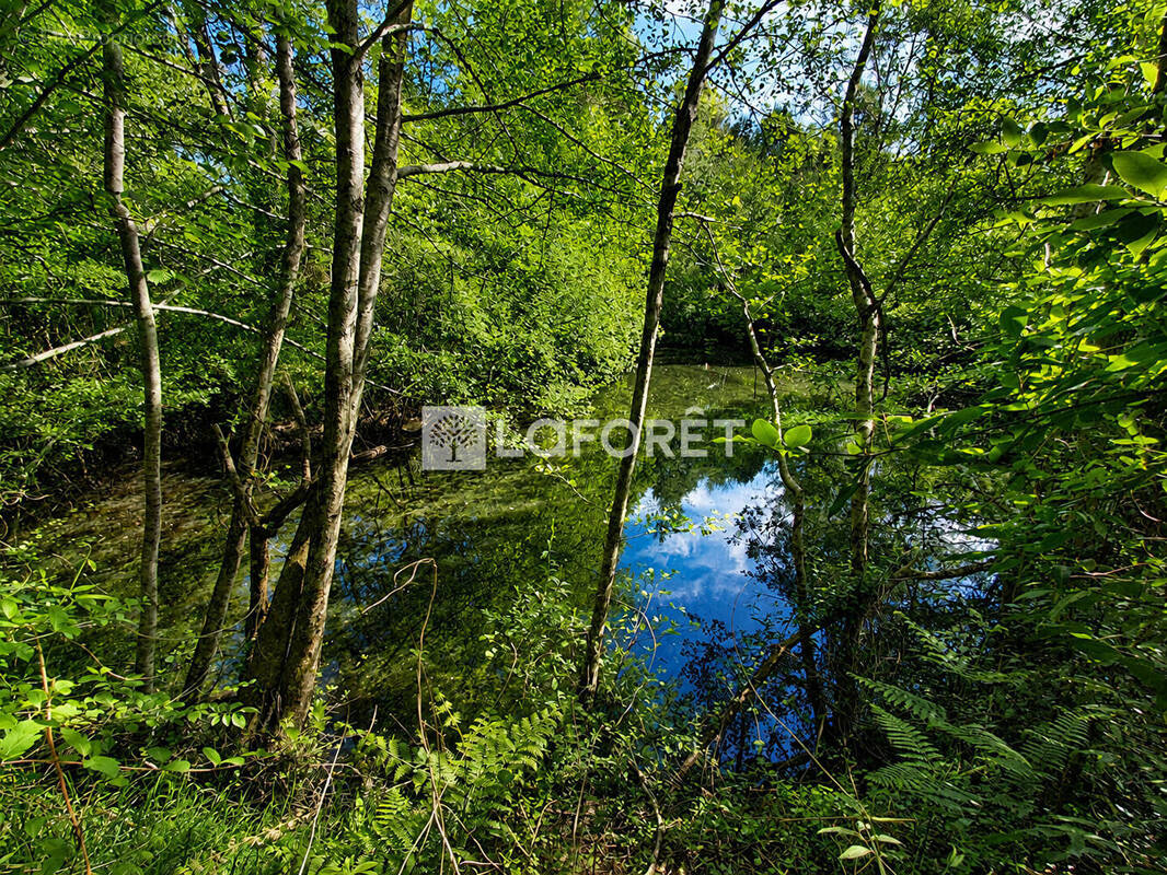 Terrain à SABRES