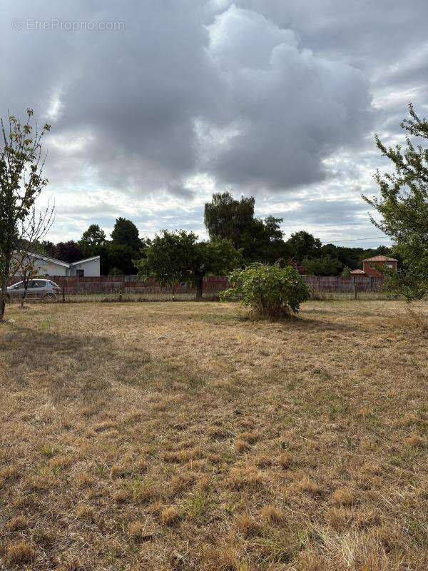 Terrain à SAINT-CAPRAIS-DE-BORDEAUX