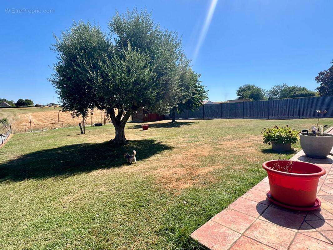 Maison  plain pieds 80 m2   12mn TGV - photo 5