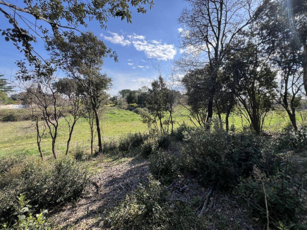 Terrain à SAINT-BENEZET
