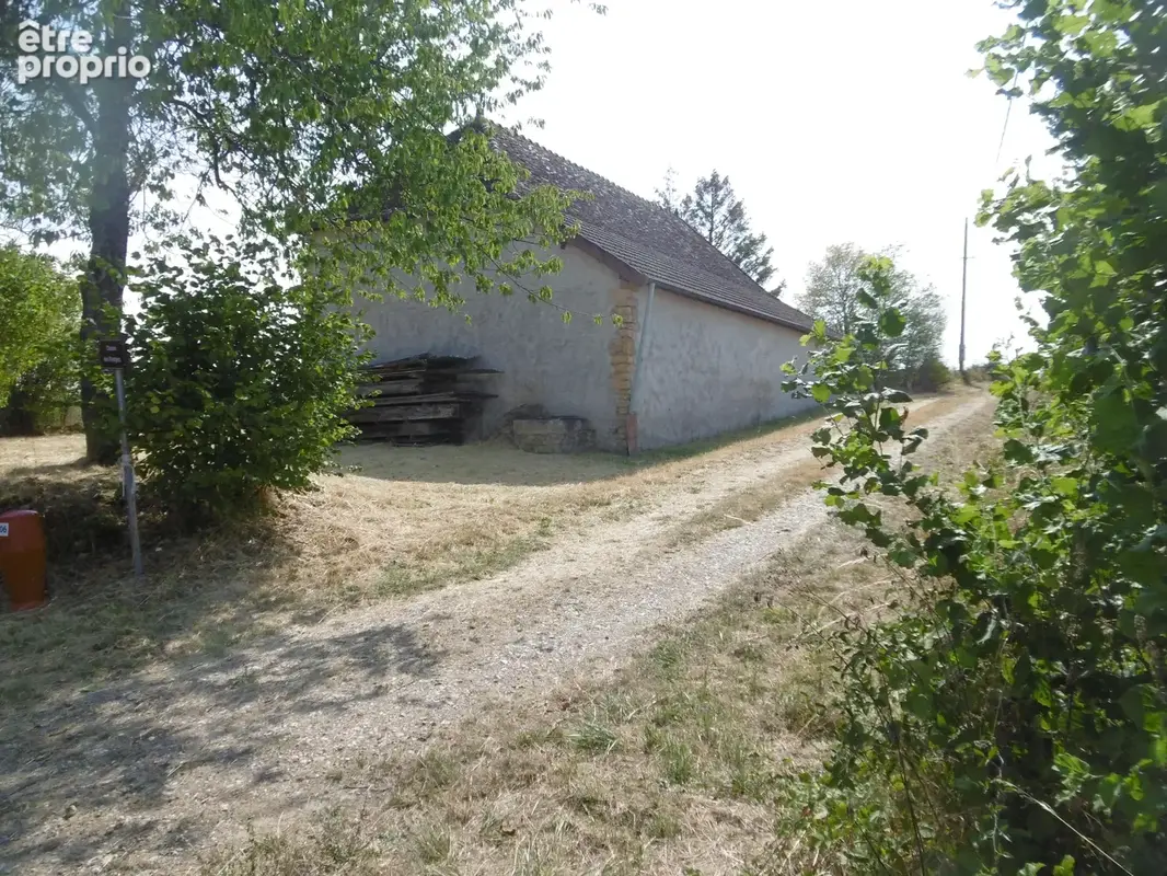 n°1