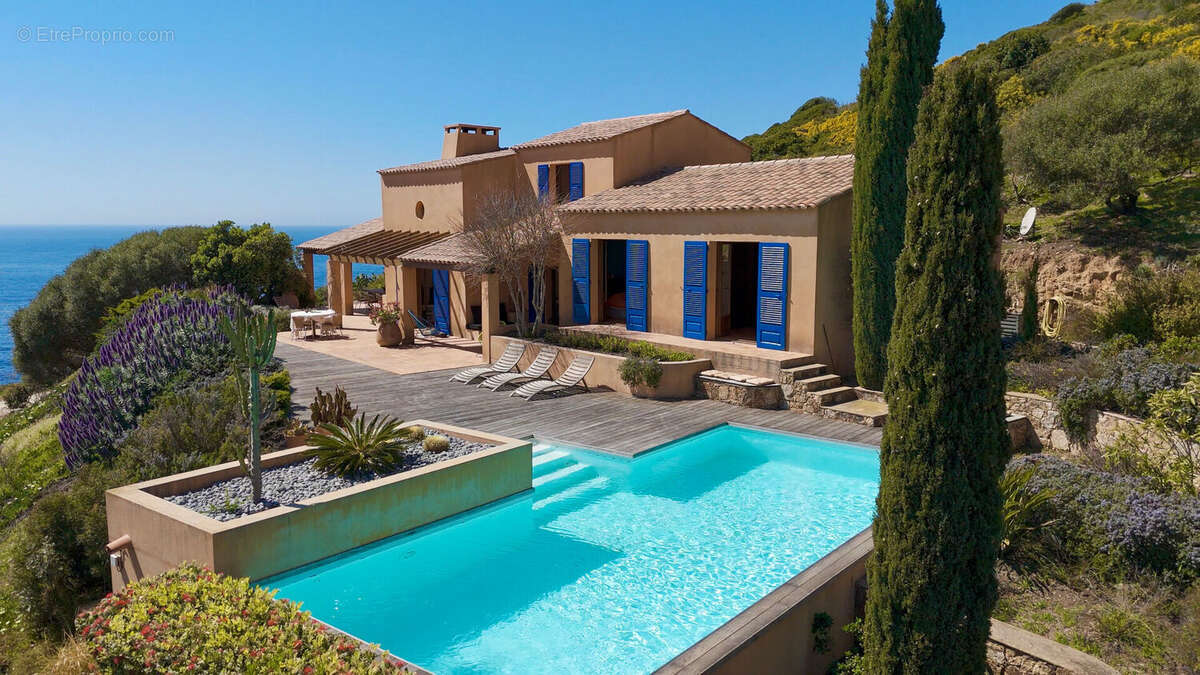 Casa Latina - photo 4