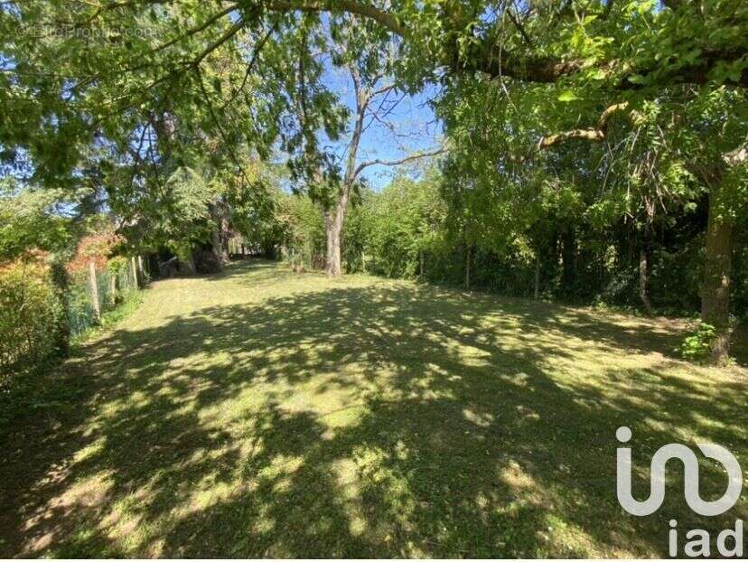 Photo 5 - Maison à ACHERES-LA-FORET