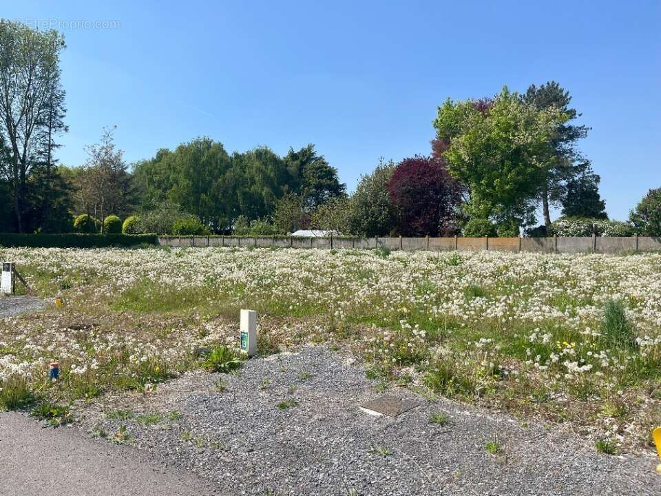 Terrain à HABARCQ