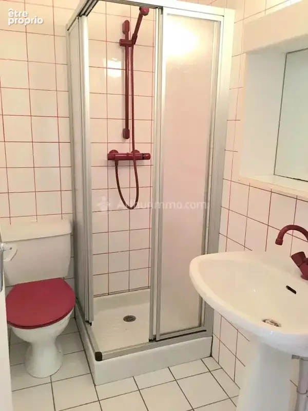 Vente Maison Brassac-les-mines(63570) 113 000ï¿œ - photo 10