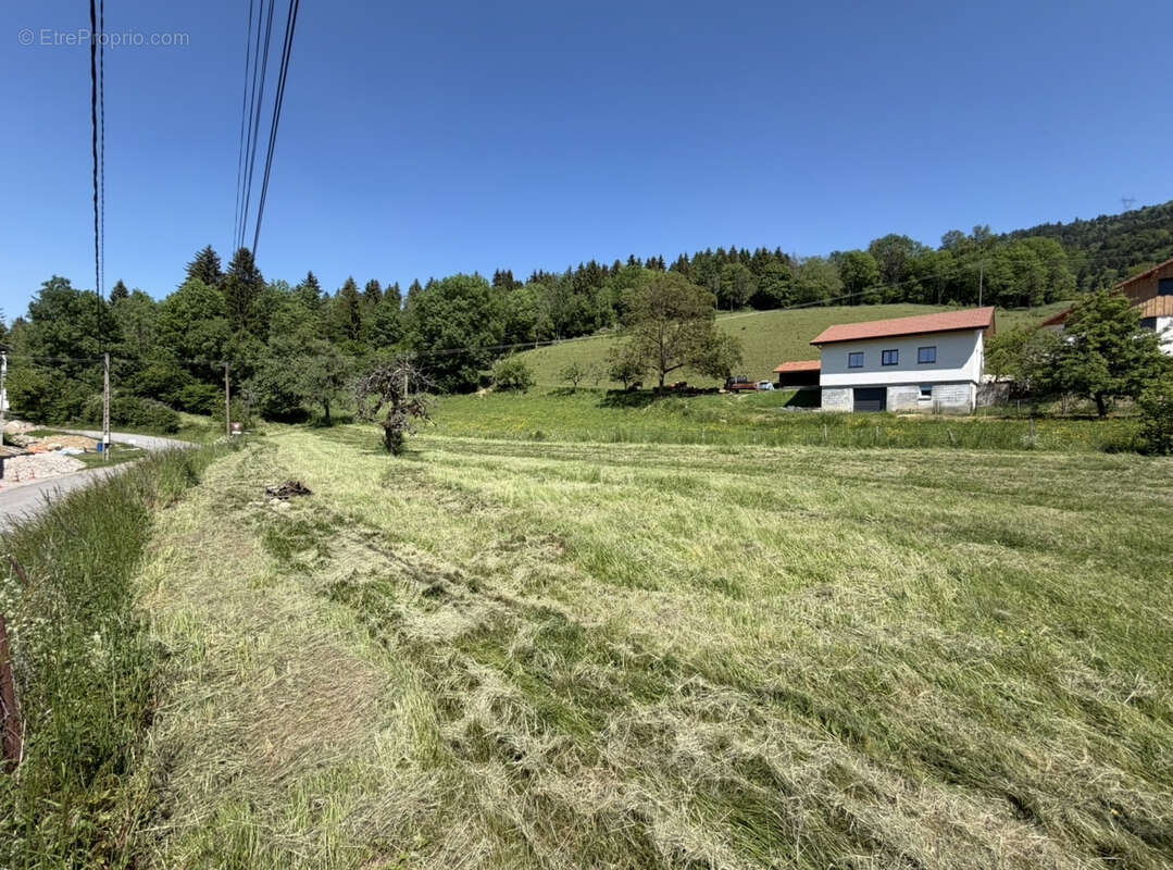Magnifique corps de ferme a viuz en sallaz divise en trois appartements et grange - photo 3