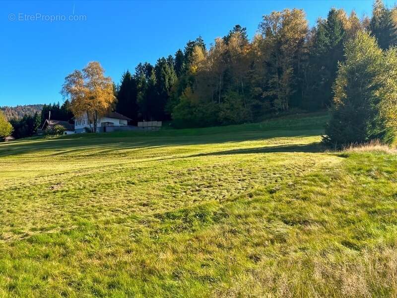 Terrain à GERARDMER