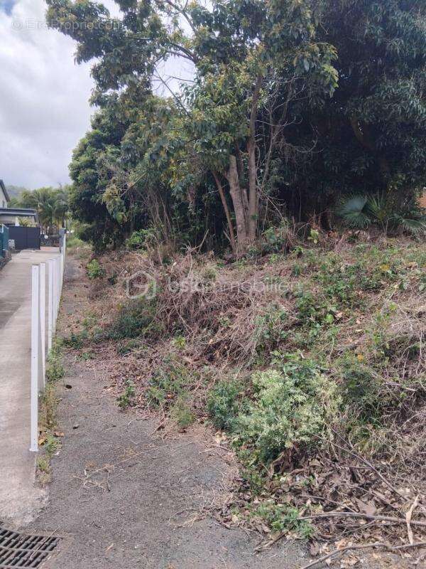 Terrain à ENTRE-DEUX