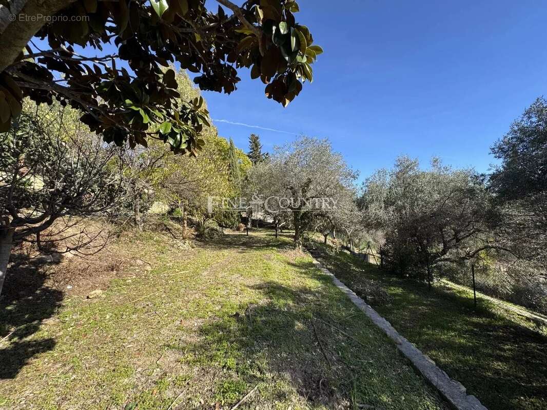 Terrain à VALLAURIS