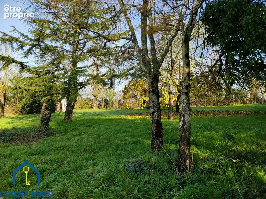 Sainte Hermine - Longère à rénover - photo 14