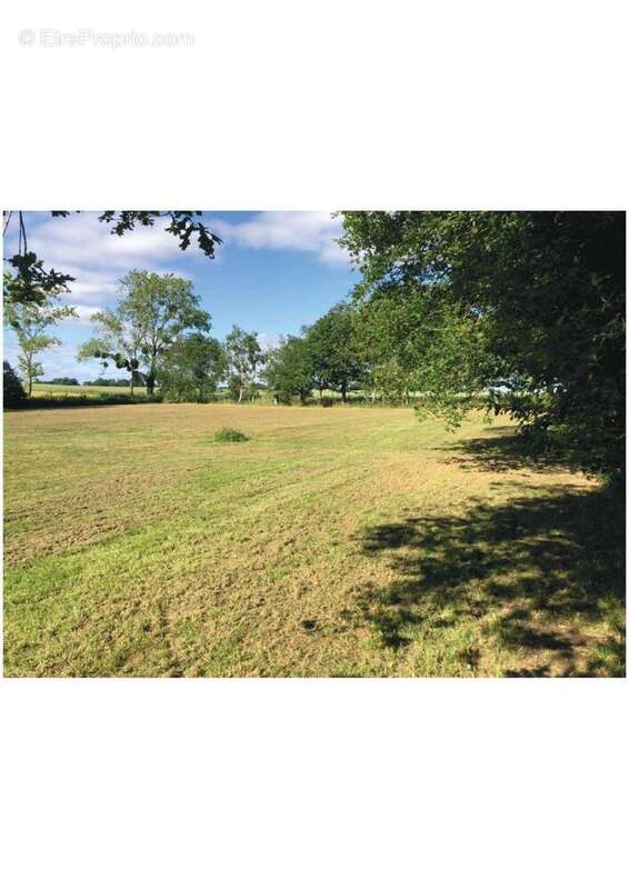 Photo 2 - Terrain à JOSSELIN