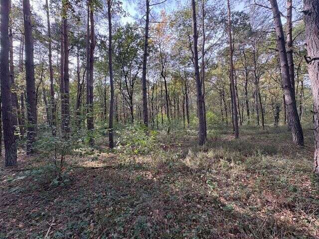 Terrain à VILLEFRANCHE-SUR-CHER