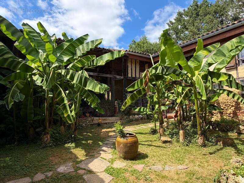 Domaine plein de charme de 250M2 avec dépendances, gîtes dans un écrin de verdure Proche de MONT DE MARSAN au HOUGA - photo 3
