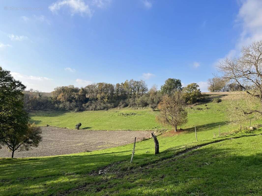 Maison à VERTEILLAC