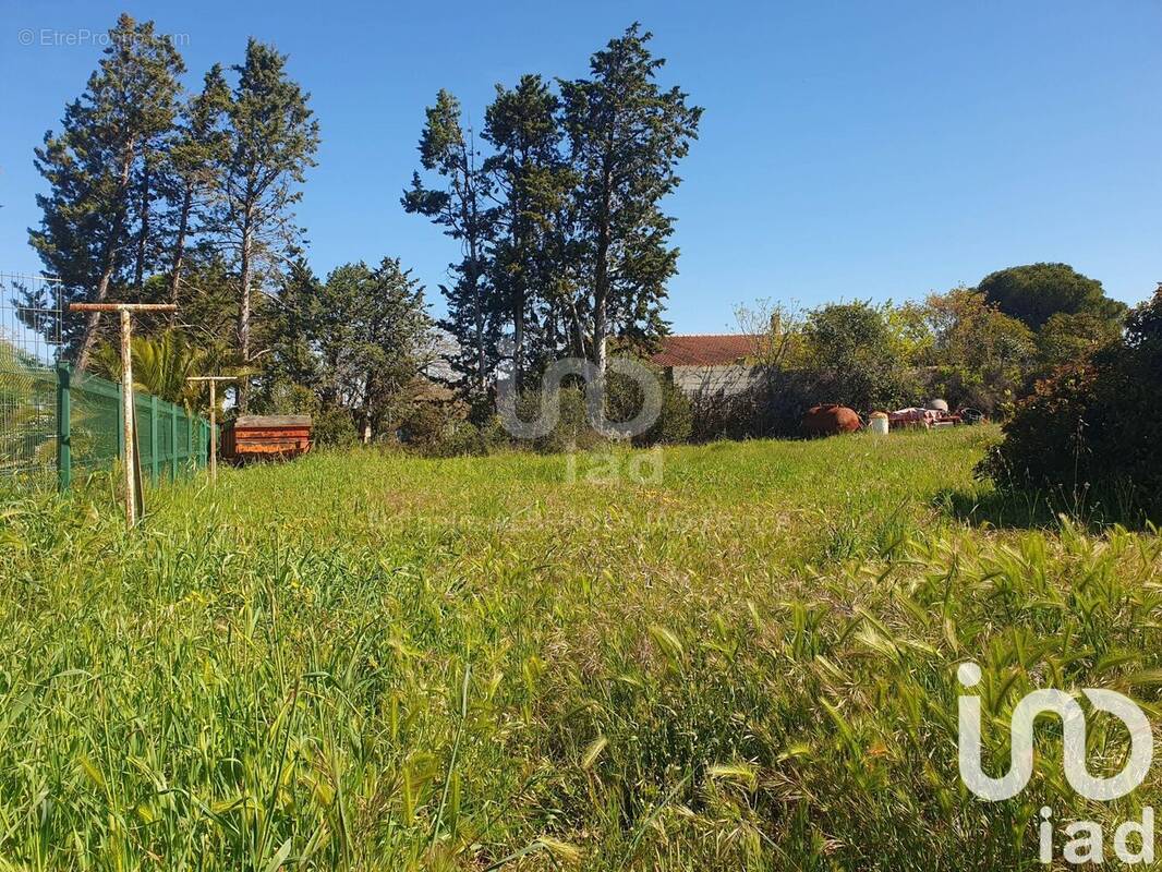 Photo 1 - Terrain à CANET