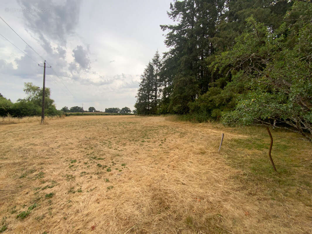 SAINT-EMILAND - Ténement immobilier comprenant deux maisons avec dépendances sur terrain de 1ha 48a 95ca - photo 6
