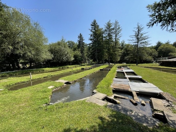 Maison à LE PALAIS-SUR-VIENNE
