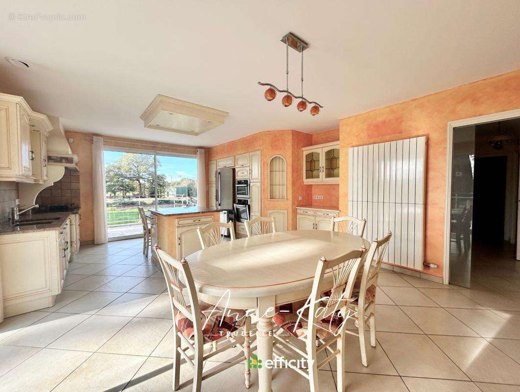 Maison 252 m² à Martinet  - photo 3