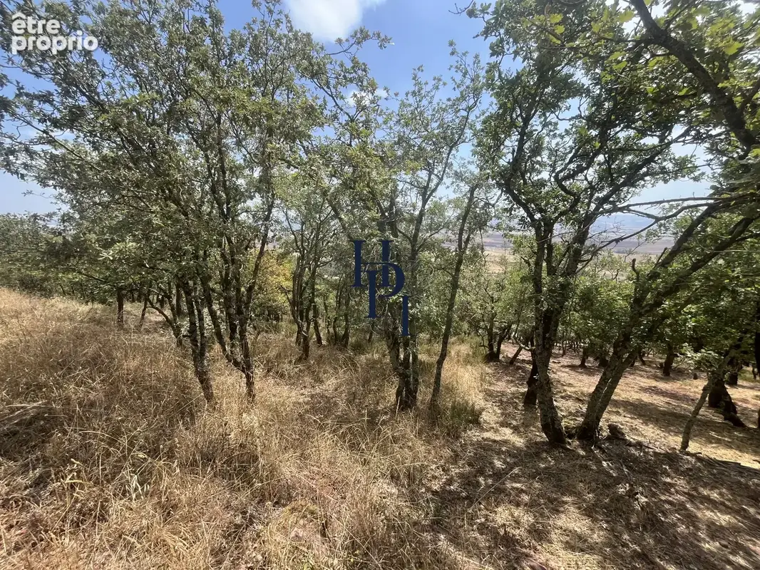Rebourguil Terrain à bâtir de 2331 m2 - photo 3