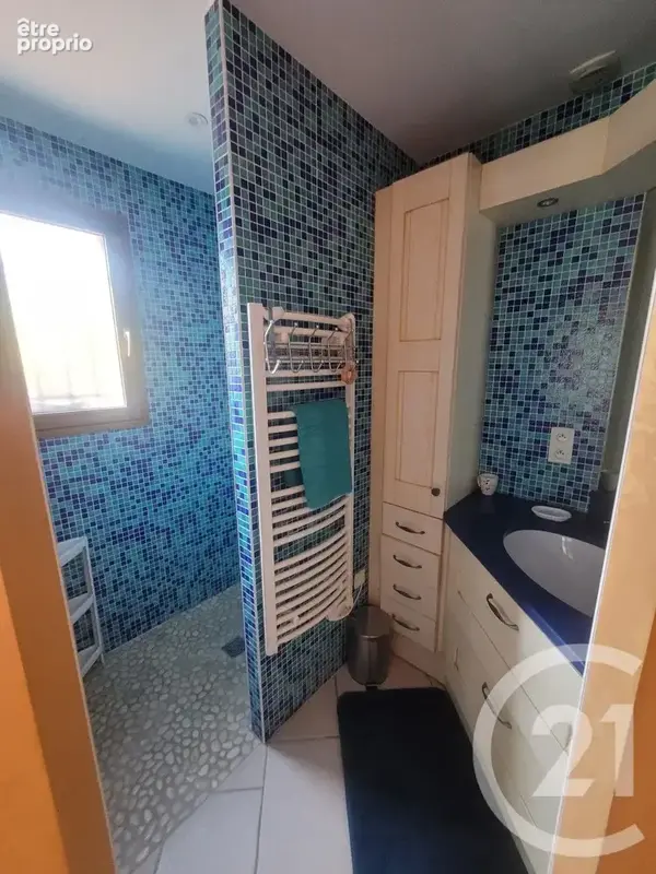 Maison 7 pièces 213 m² à vendre à La Chapelle-Naude (71500) - photo 7