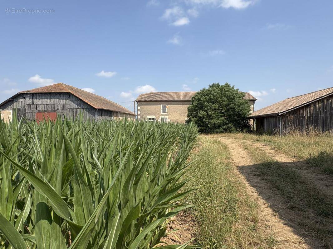 Maison à LAFITTE-SUR-LOT