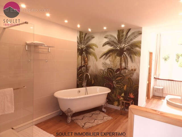 Maison à L'ISLE-SUR-LA-SORGUE