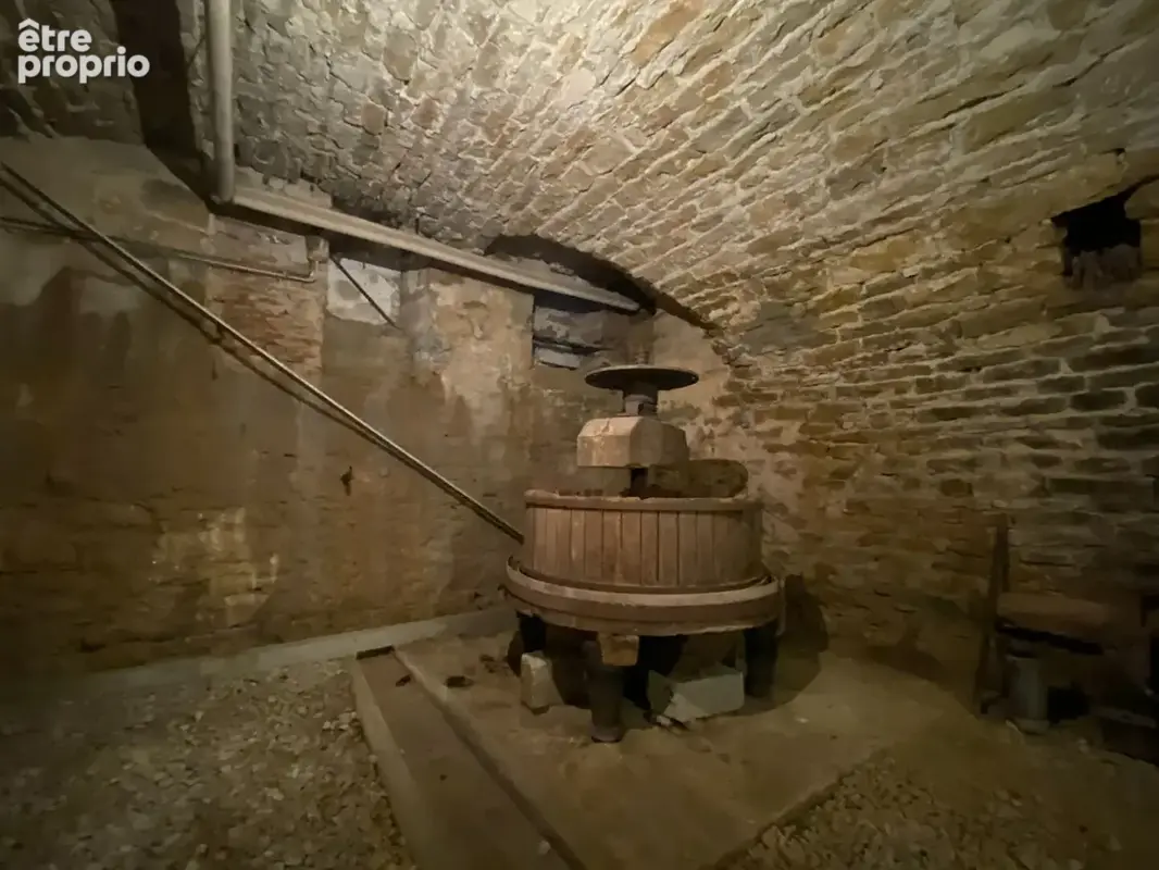 RARE sur Arbois : 2 maisons avec un ancien moulin - photo 17