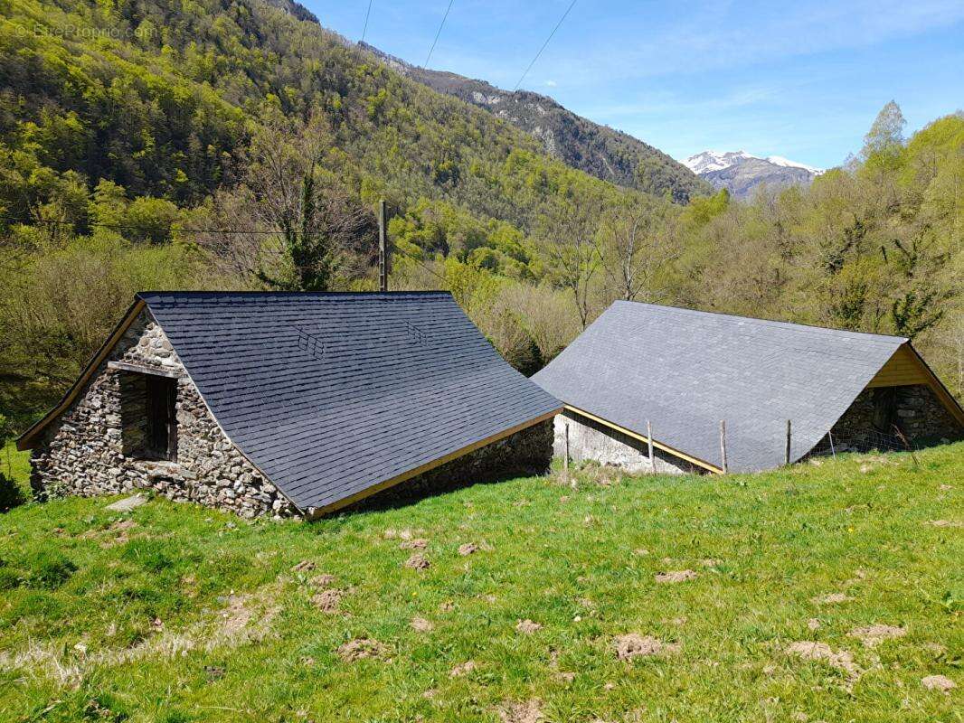 Deux granges à rénover dans les montagnes Ossaloises - photo 5