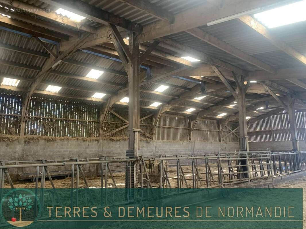 A VENDRE en NORMANDIE dans le département du CALVADOS région LE MOLAY-LITRY (14330) une exploitation agricole herbagère d'une su - photo 16