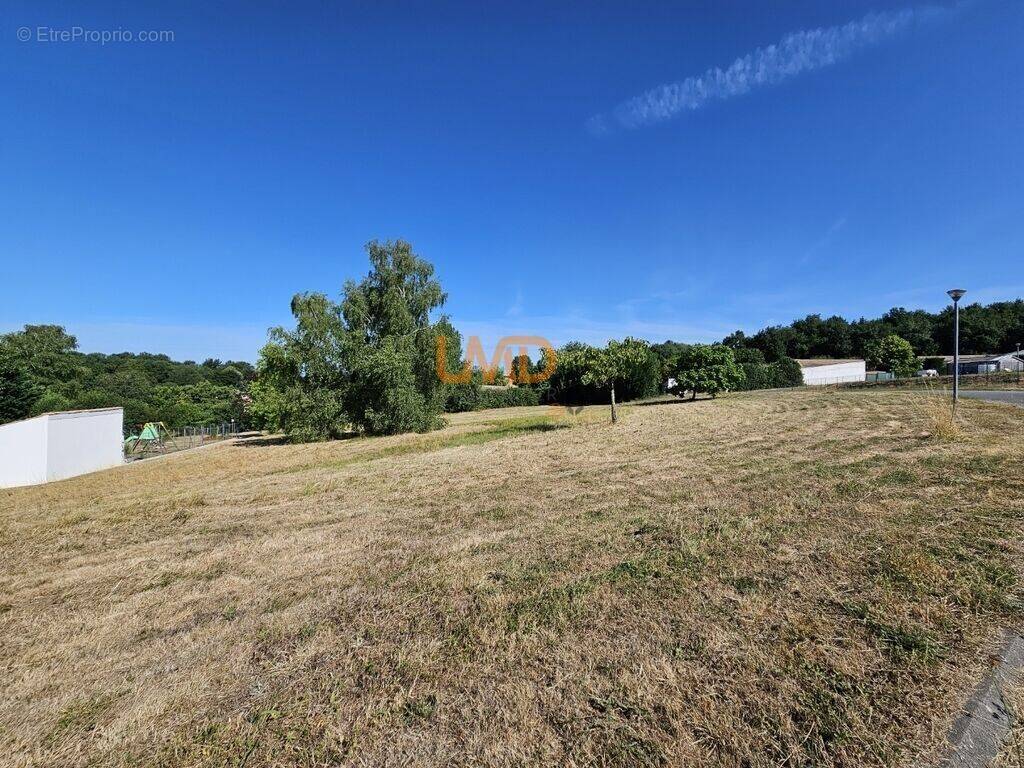 Terrain à ECOYEUX