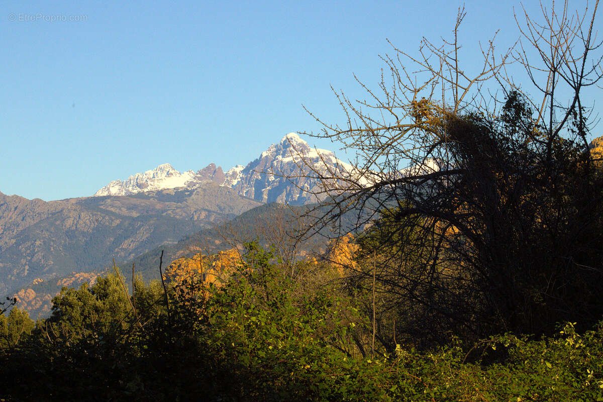 Terrain à PIANA