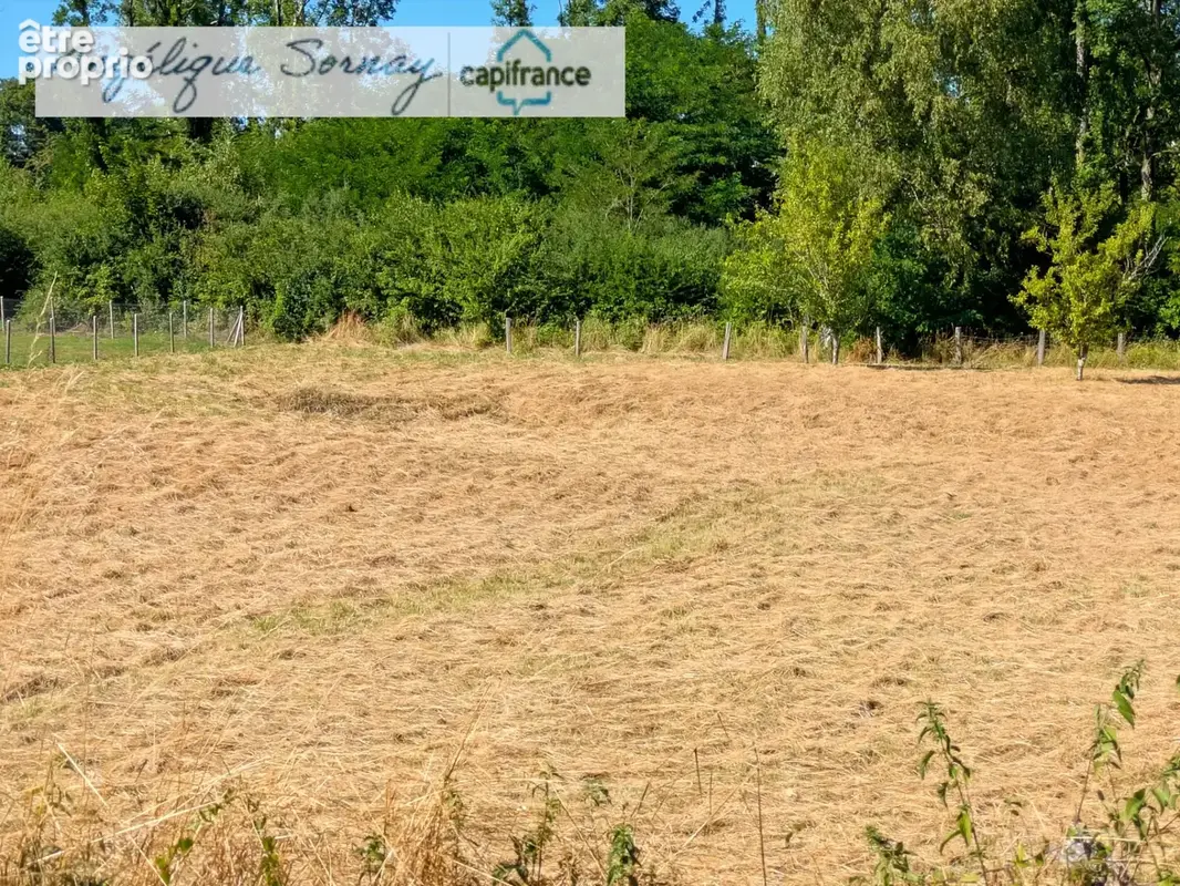 Terrain à vendre de 2 221 m² BLETTERANS (39) - photo 4