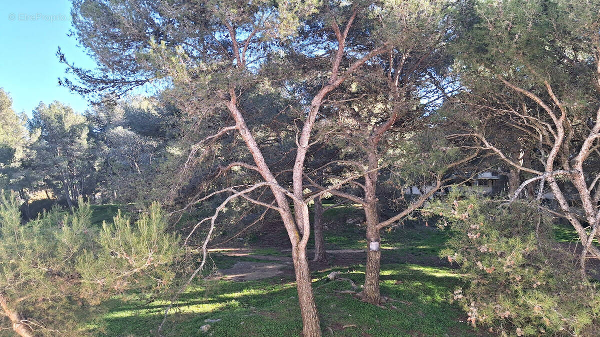 Appartement à LES PENNES-MIRABEAU