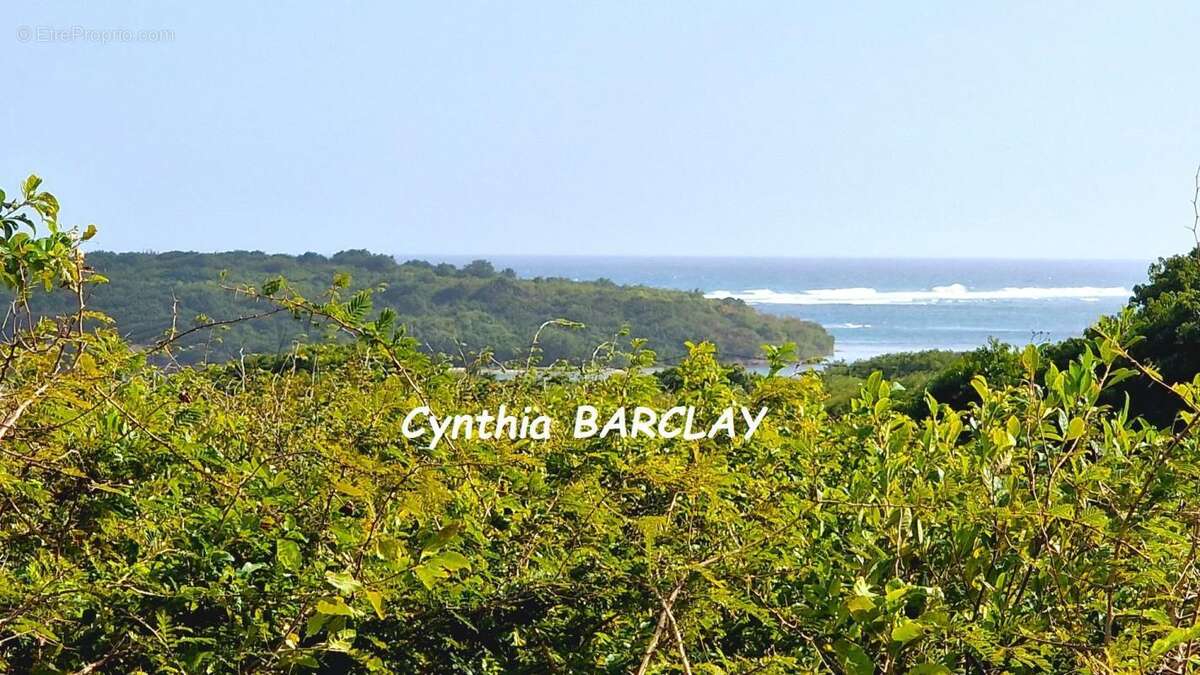 Terrain à SAINTE-ANNE