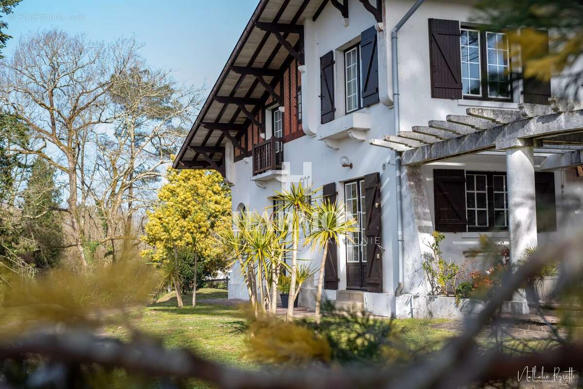 Maison à MAGESCQ