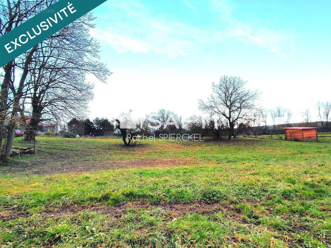 Photo 1 - Terrain à DELME