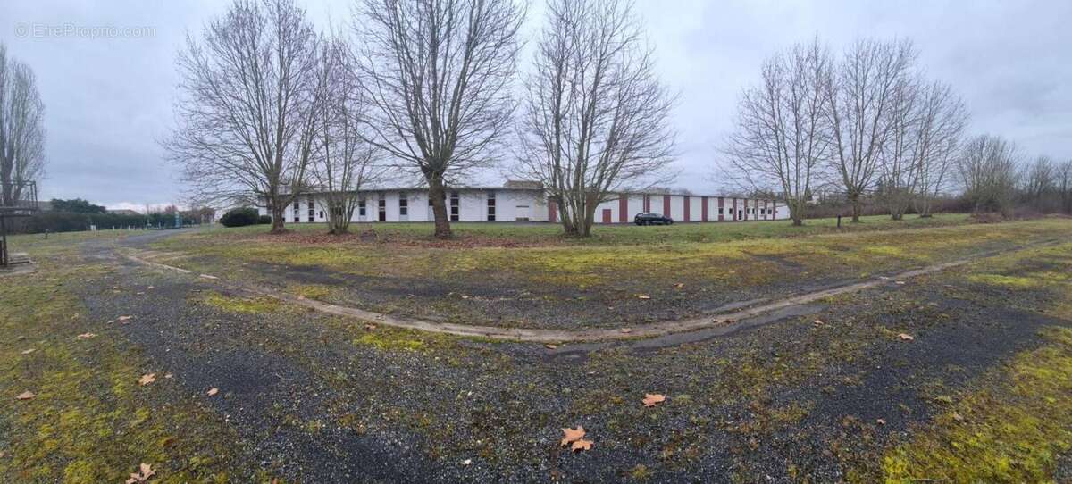 Commerce à COURTENAY