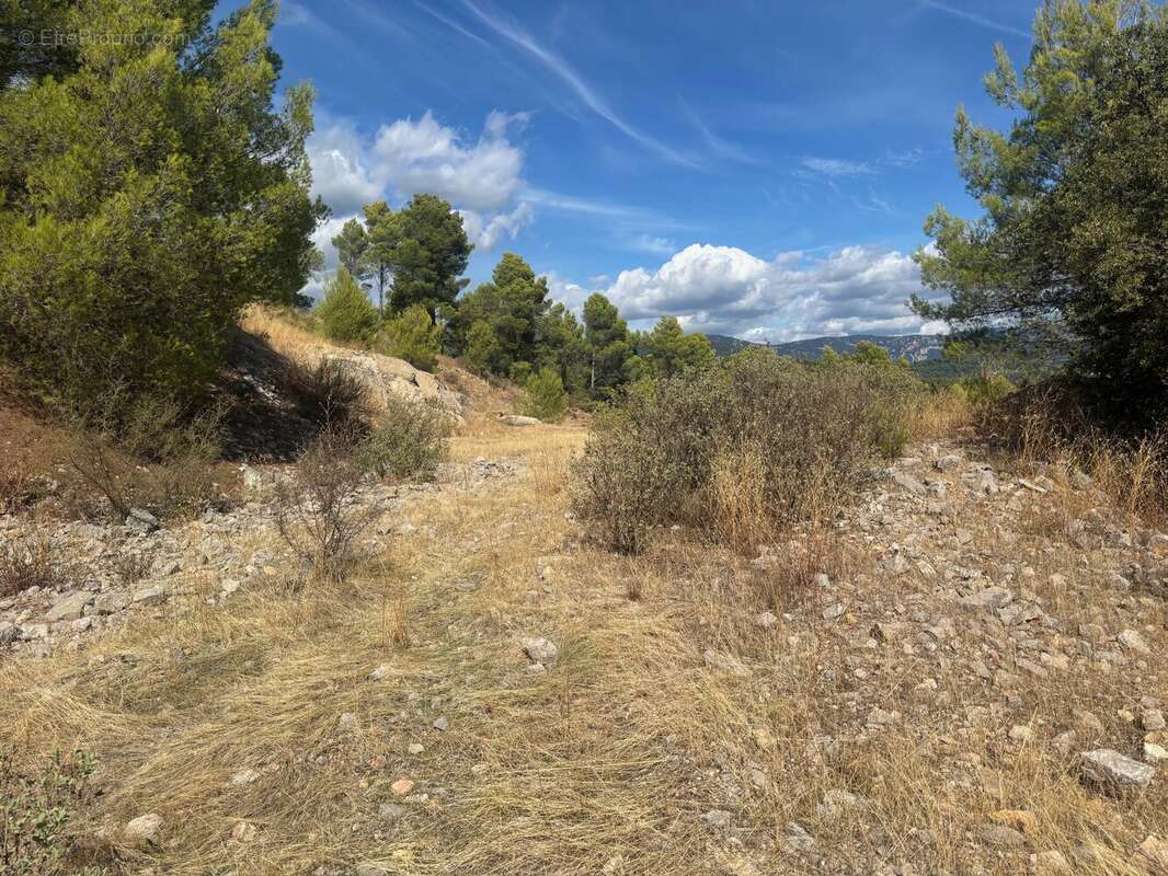 Figanières – terrain agricole et forestier de plus de 9 hectares - photo 10