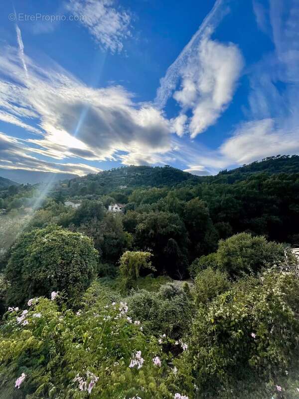 Terrain à SAINT-BLAISE