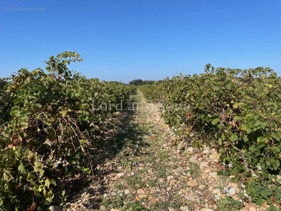 Maison à SUZE-LA-ROUSSE